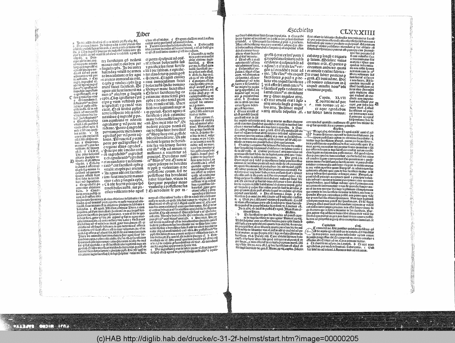 http://diglib.hab.de/drucke/c-31-2f-helmst/00000205.gif