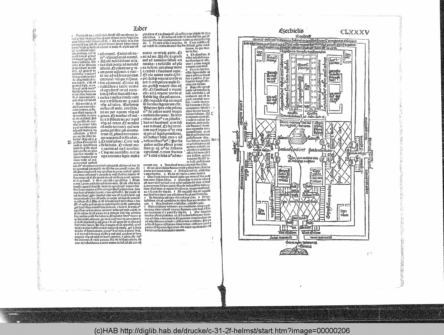 http://diglib.hab.de/drucke/c-31-2f-helmst/00000206.gif