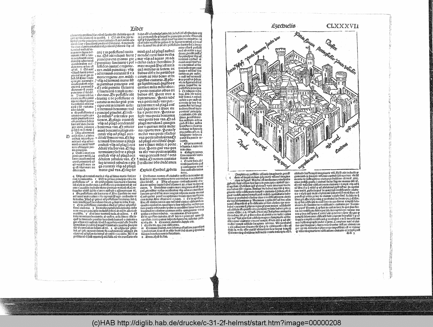 http://diglib.hab.de/drucke/c-31-2f-helmst/00000208.gif