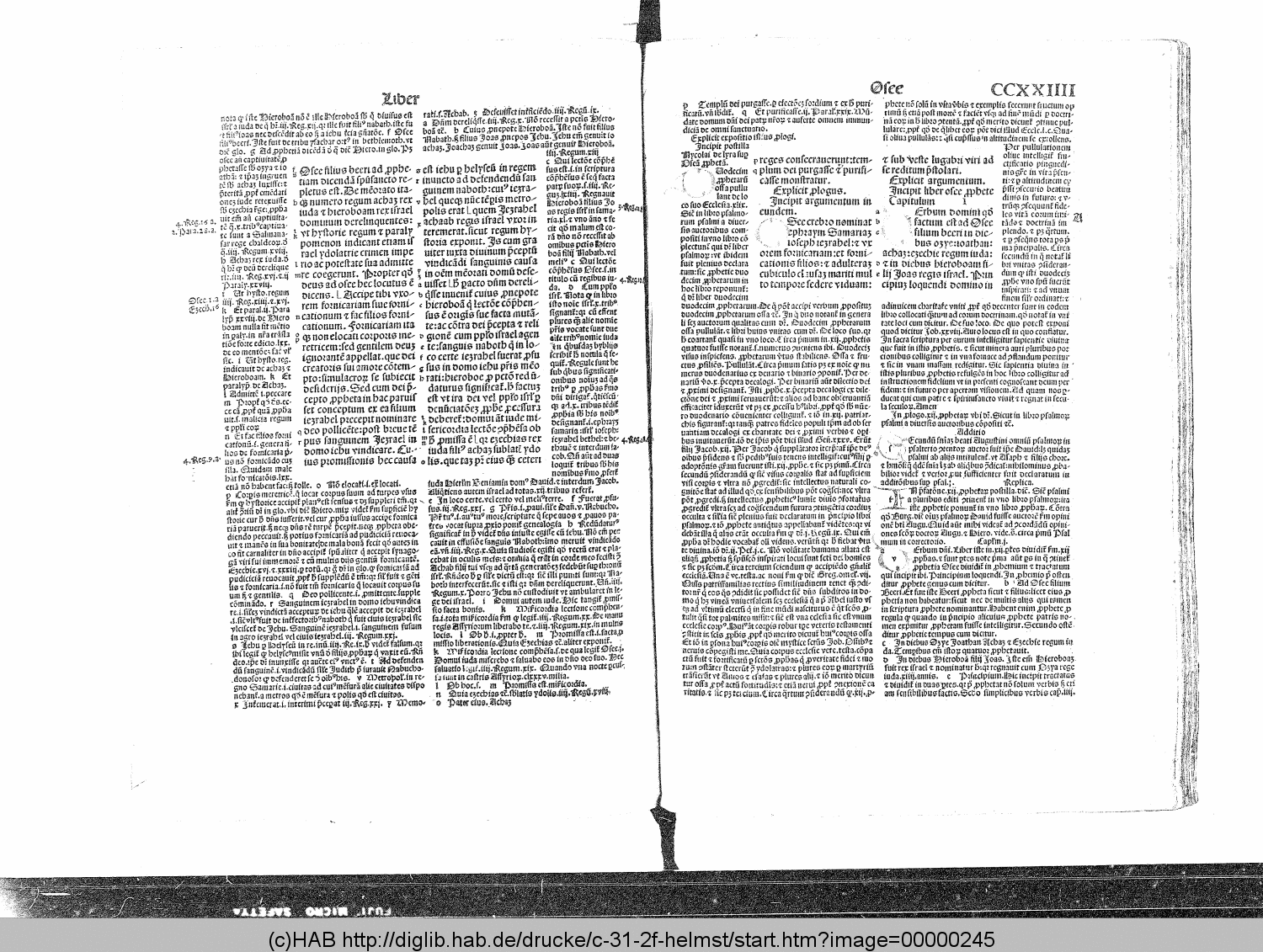 http://diglib.hab.de/drucke/c-31-2f-helmst/00000245.gif