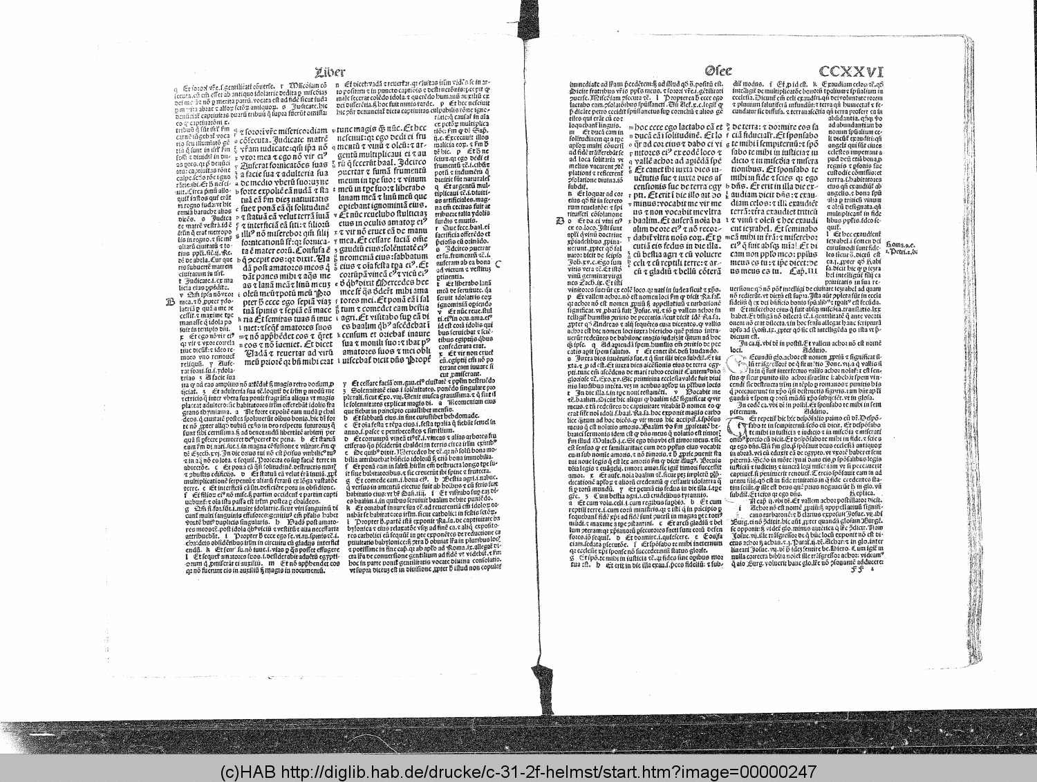 http://diglib.hab.de/drucke/c-31-2f-helmst/00000247.gif