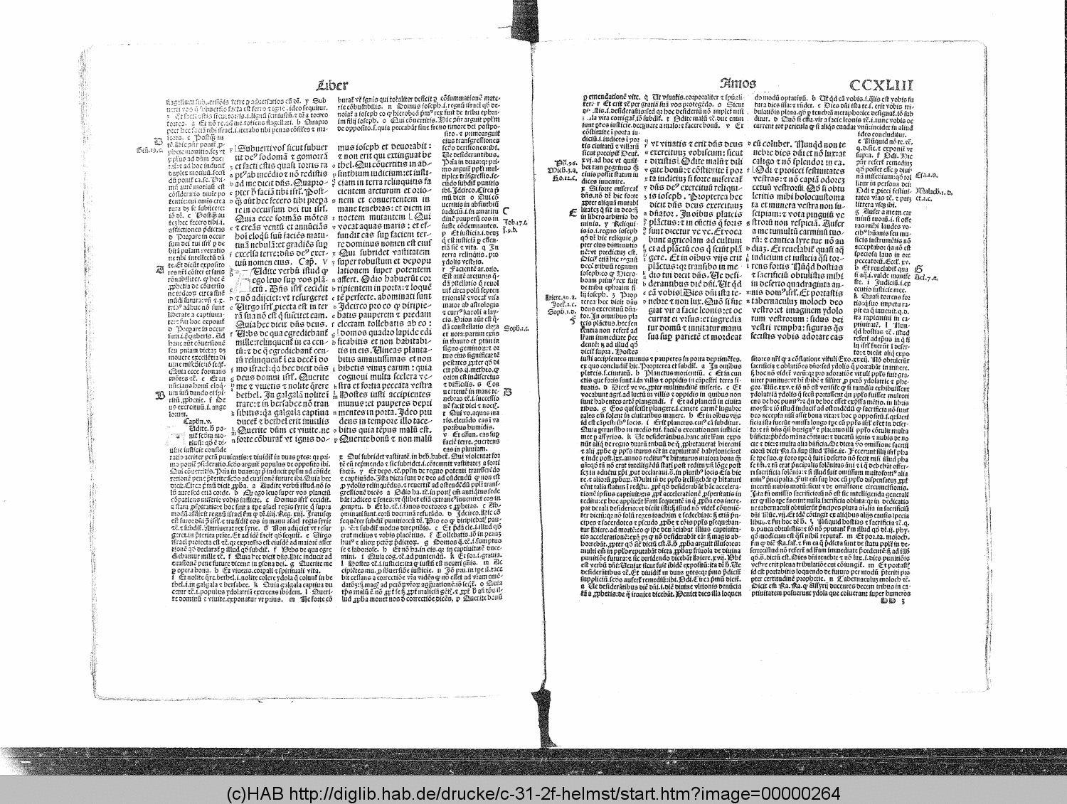http://diglib.hab.de/drucke/c-31-2f-helmst/00000264.gif