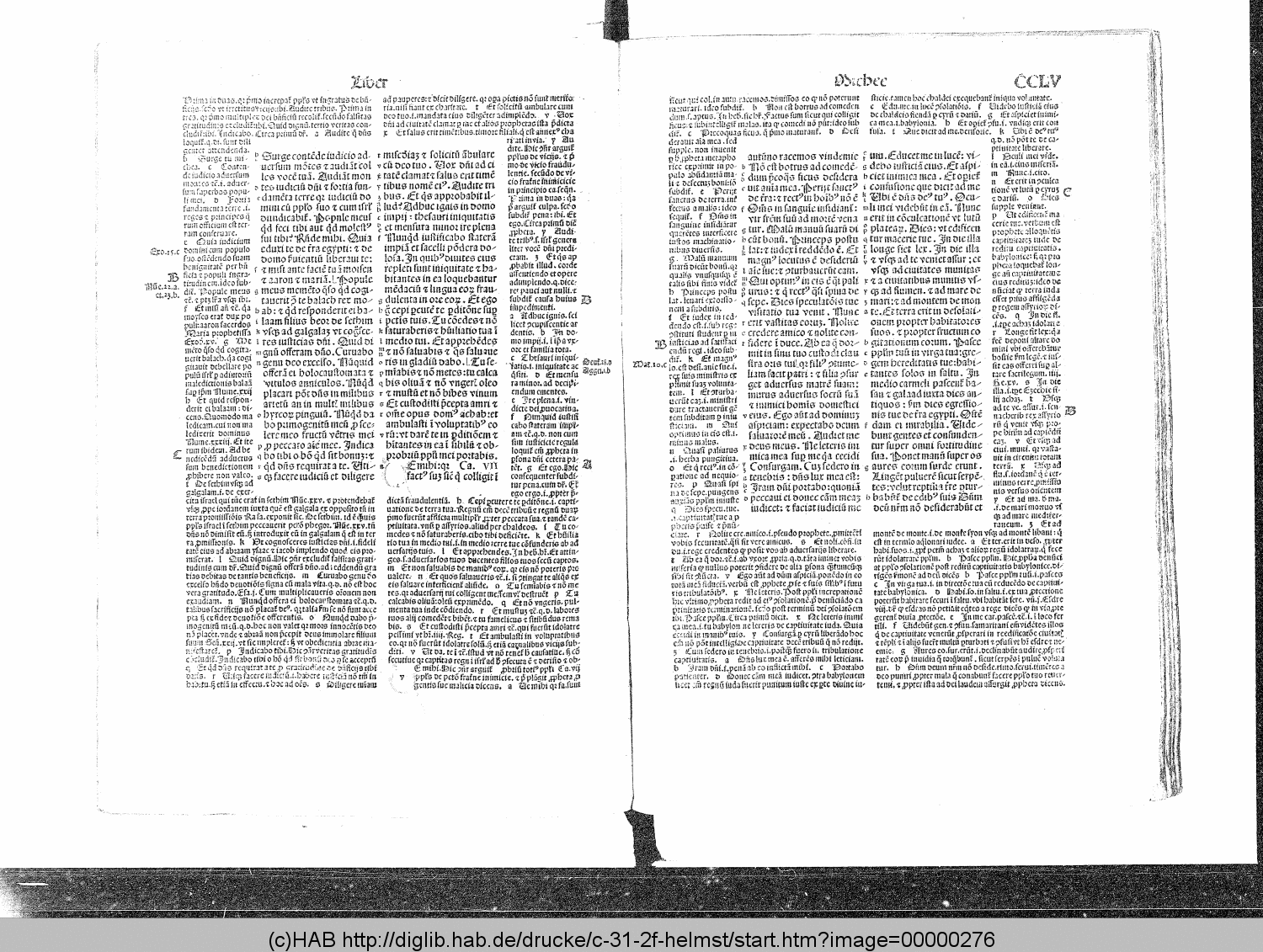 http://diglib.hab.de/drucke/c-31-2f-helmst/00000276.gif