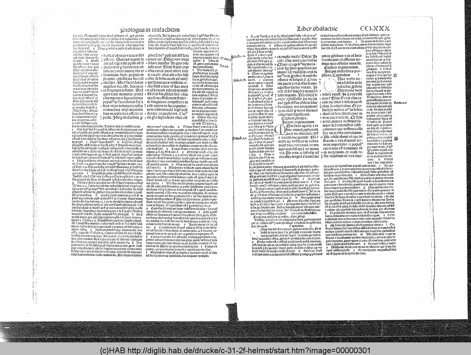 http://diglib.hab.de/drucke/c-31-2f-helmst/00000301.gif