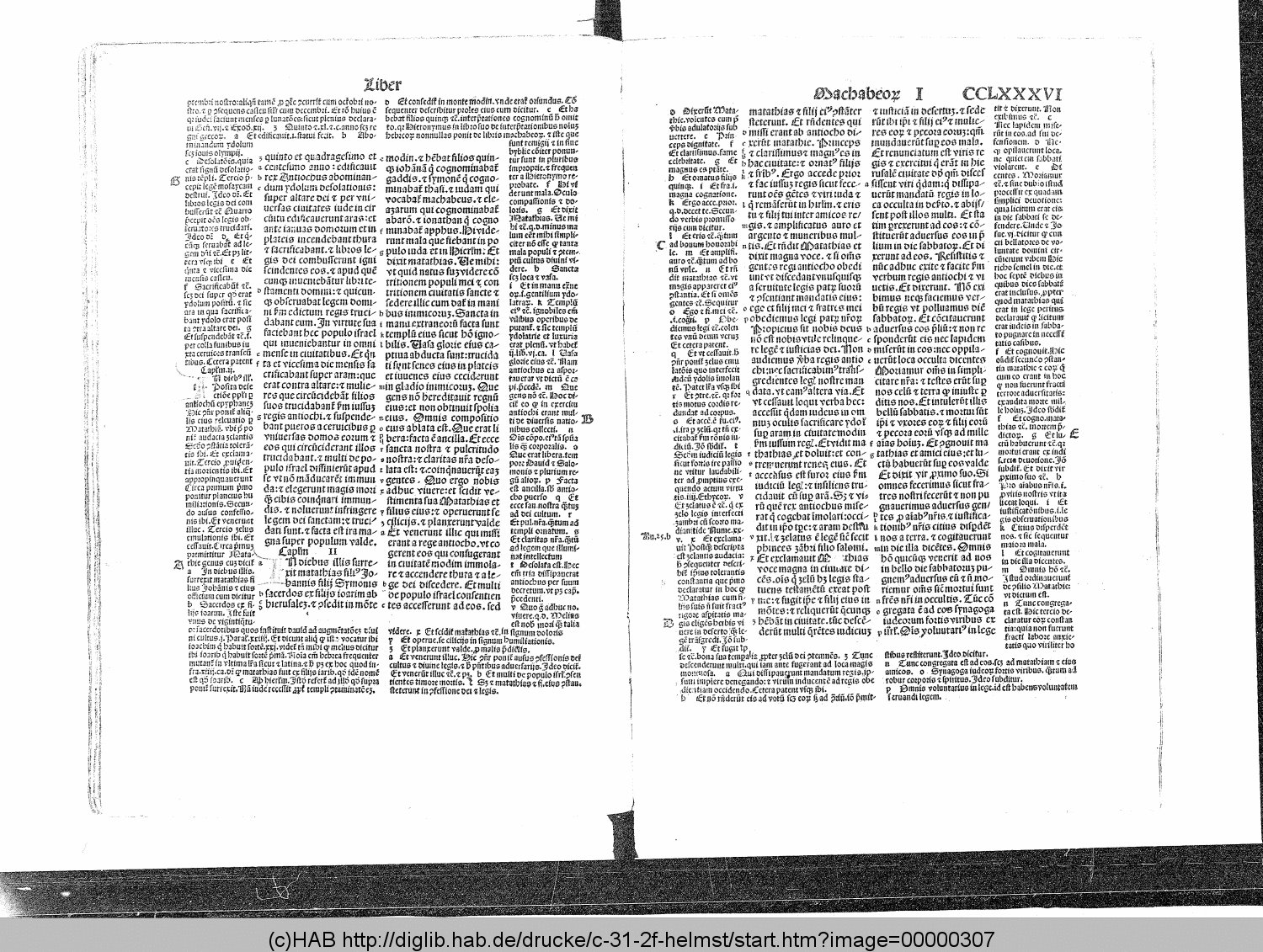 http://diglib.hab.de/drucke/c-31-2f-helmst/00000307.gif
