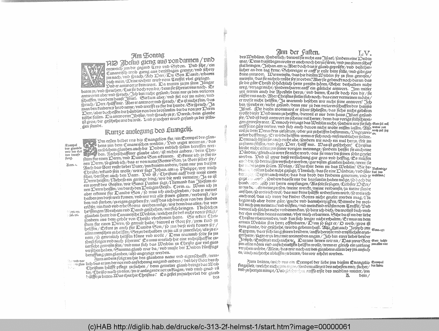 http://diglib.hab.de/drucke/c-313-2f-helmst-1/00000061.gif