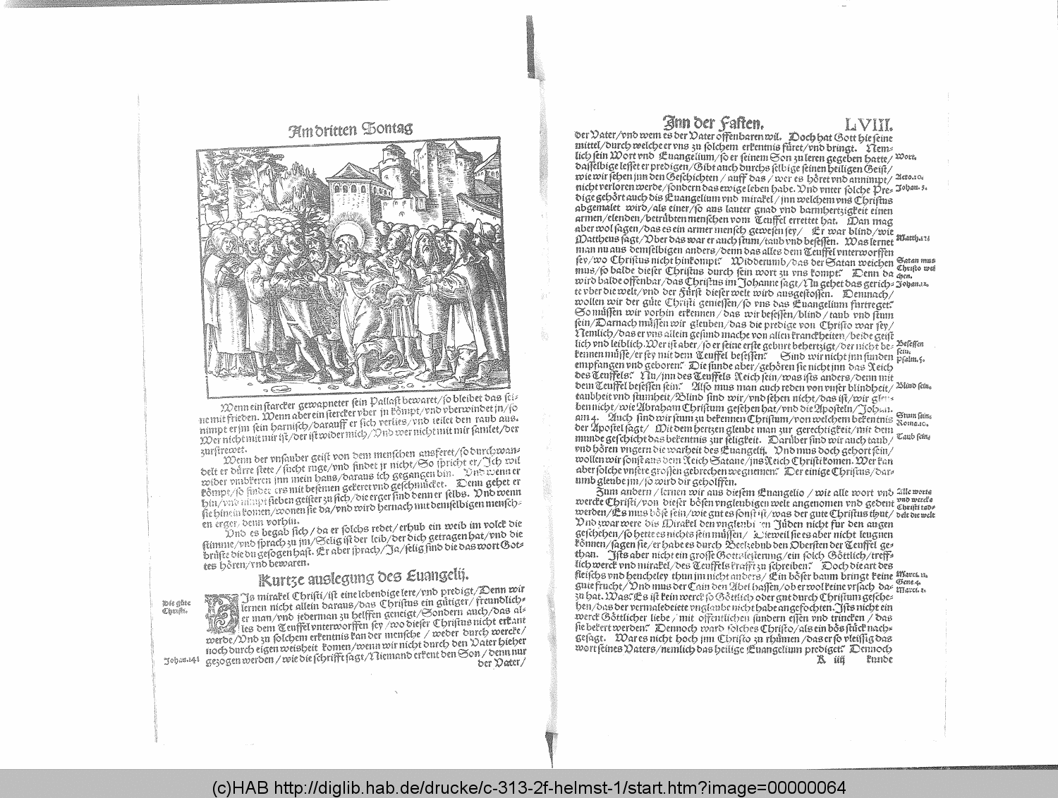 http://diglib.hab.de/drucke/c-313-2f-helmst-1/00000064.gif