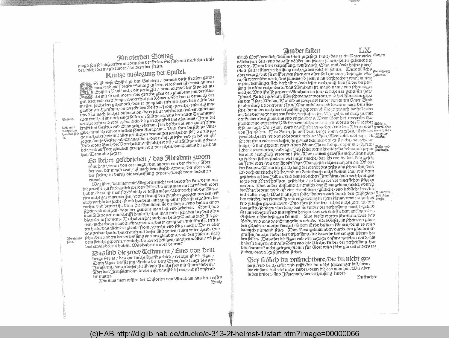 http://diglib.hab.de/drucke/c-313-2f-helmst-1/00000066.gif