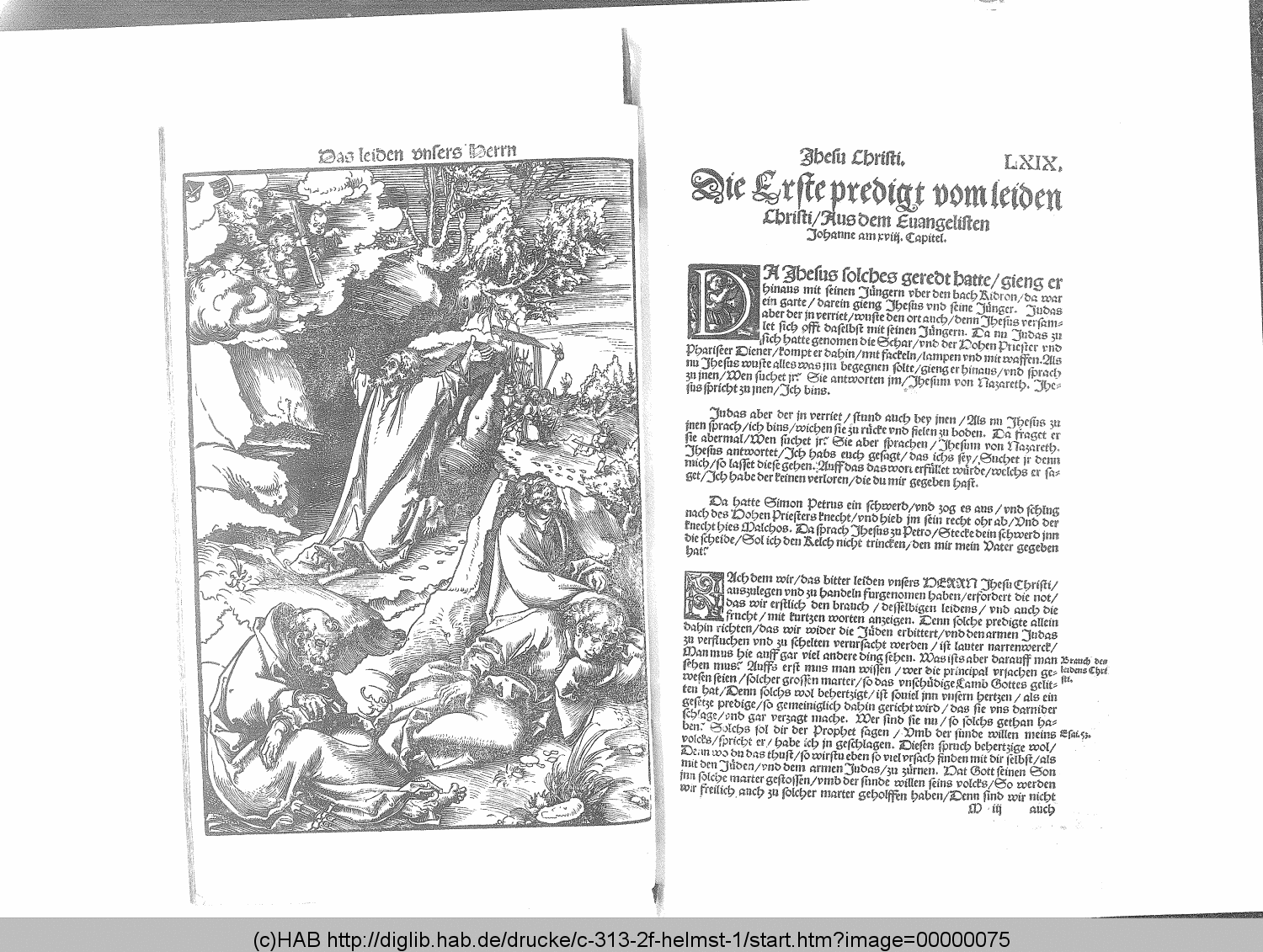 http://diglib.hab.de/drucke/c-313-2f-helmst-1/00000075.gif