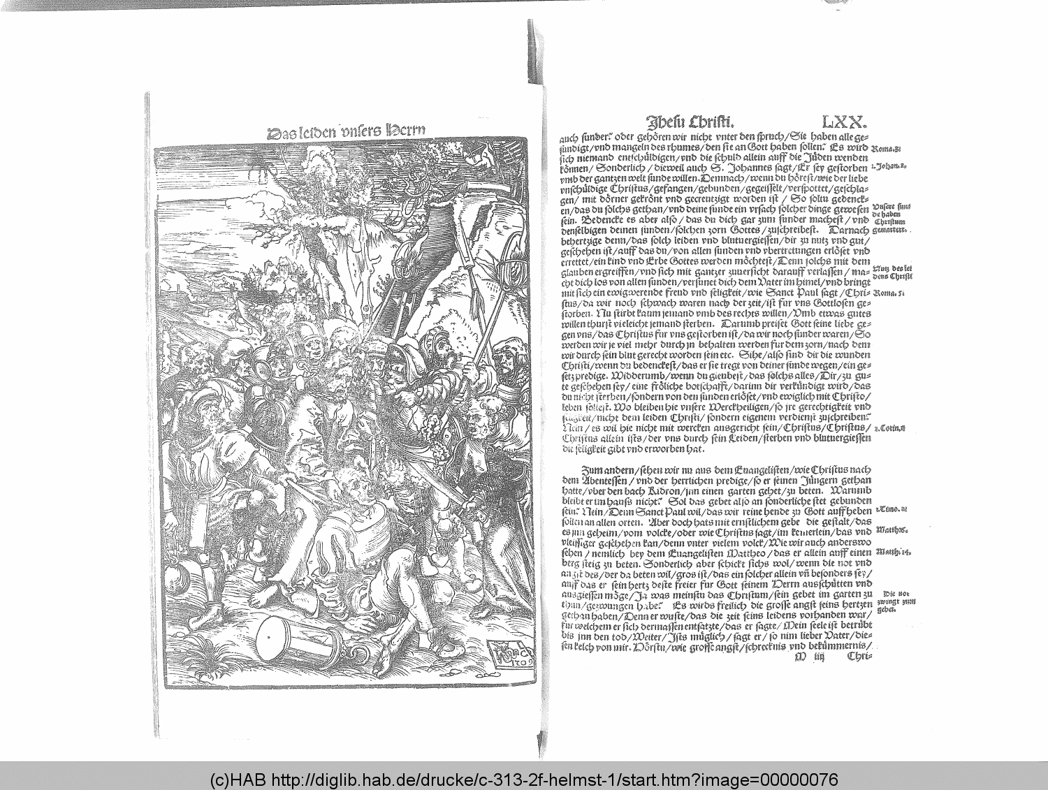 http://diglib.hab.de/drucke/c-313-2f-helmst-1/00000076.gif