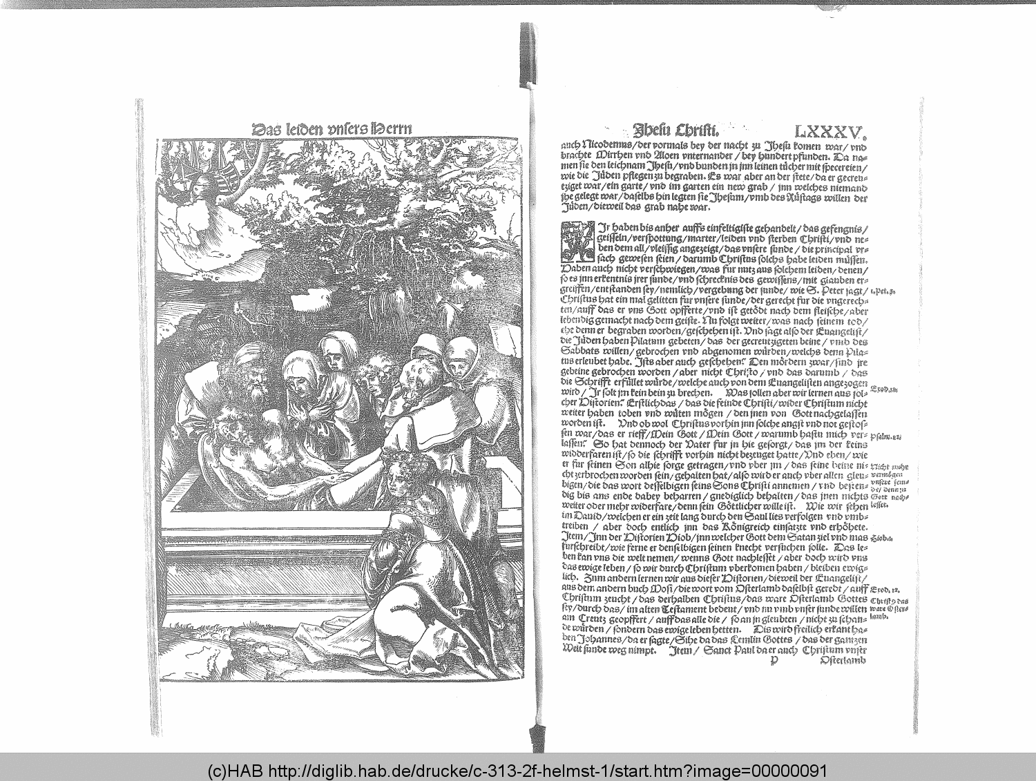 http://diglib.hab.de/drucke/c-313-2f-helmst-1/00000091.gif