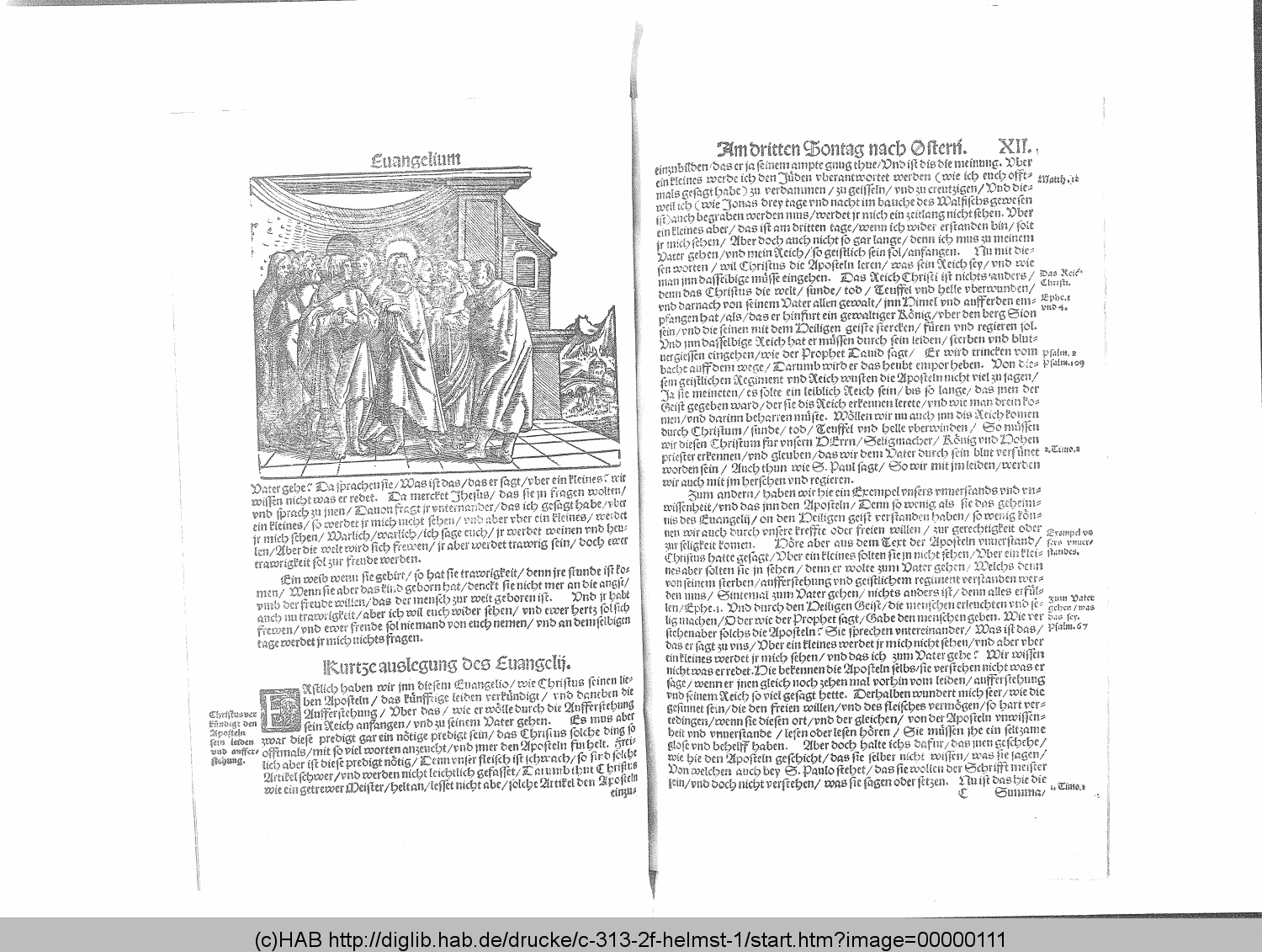 http://diglib.hab.de/drucke/c-313-2f-helmst-1/00000111.gif