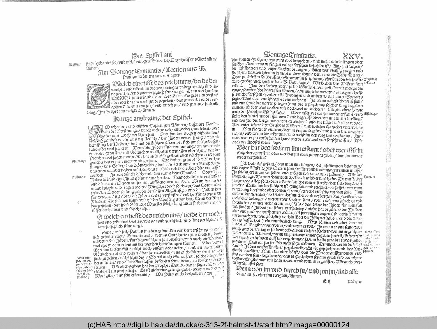 http://diglib.hab.de/drucke/c-313-2f-helmst-1/00000124.gif