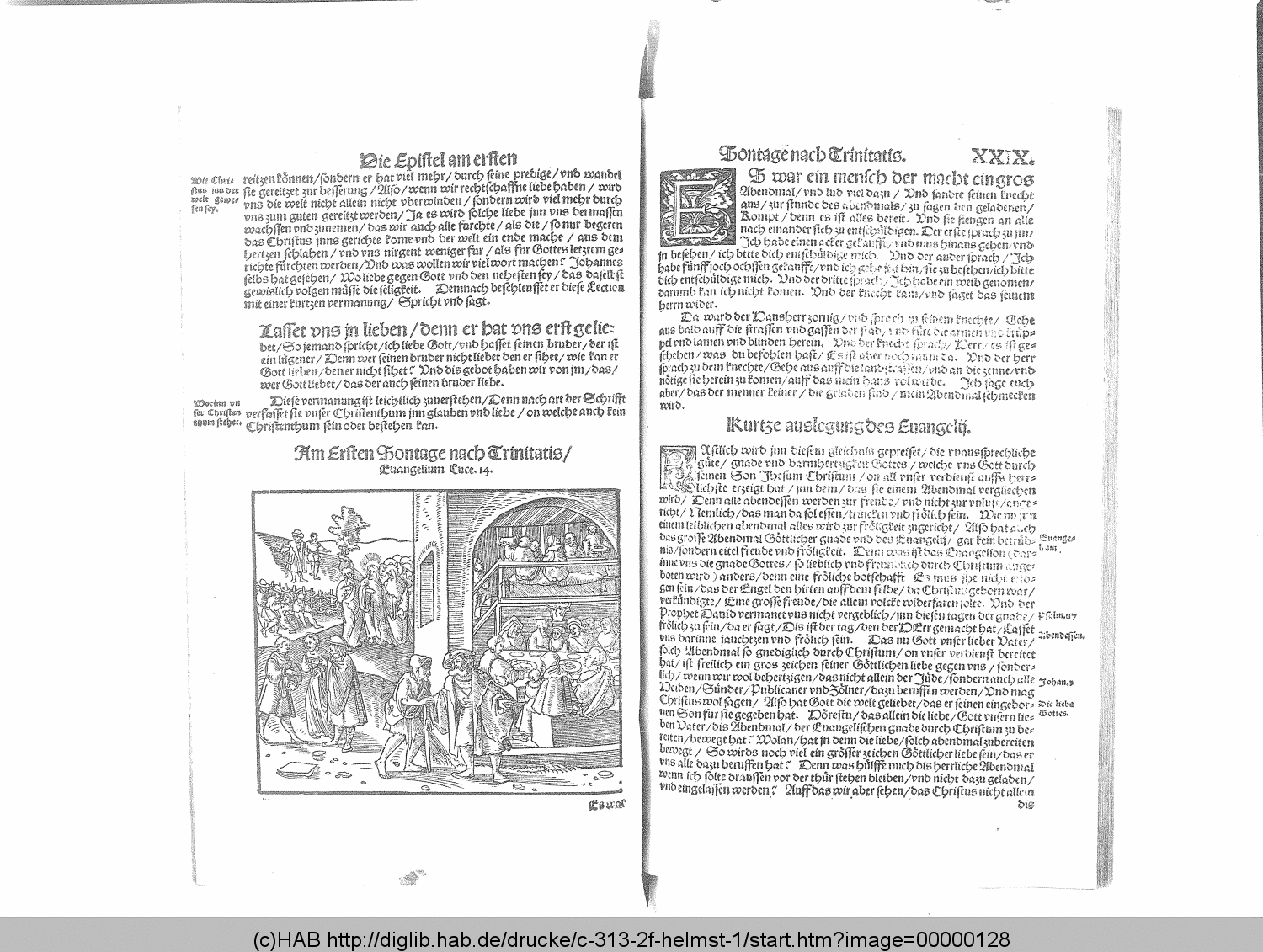 http://diglib.hab.de/drucke/c-313-2f-helmst-1/00000128.gif