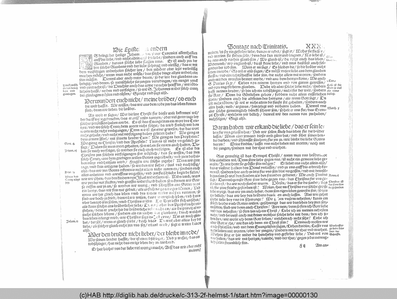 http://diglib.hab.de/drucke/c-313-2f-helmst-1/00000130.gif