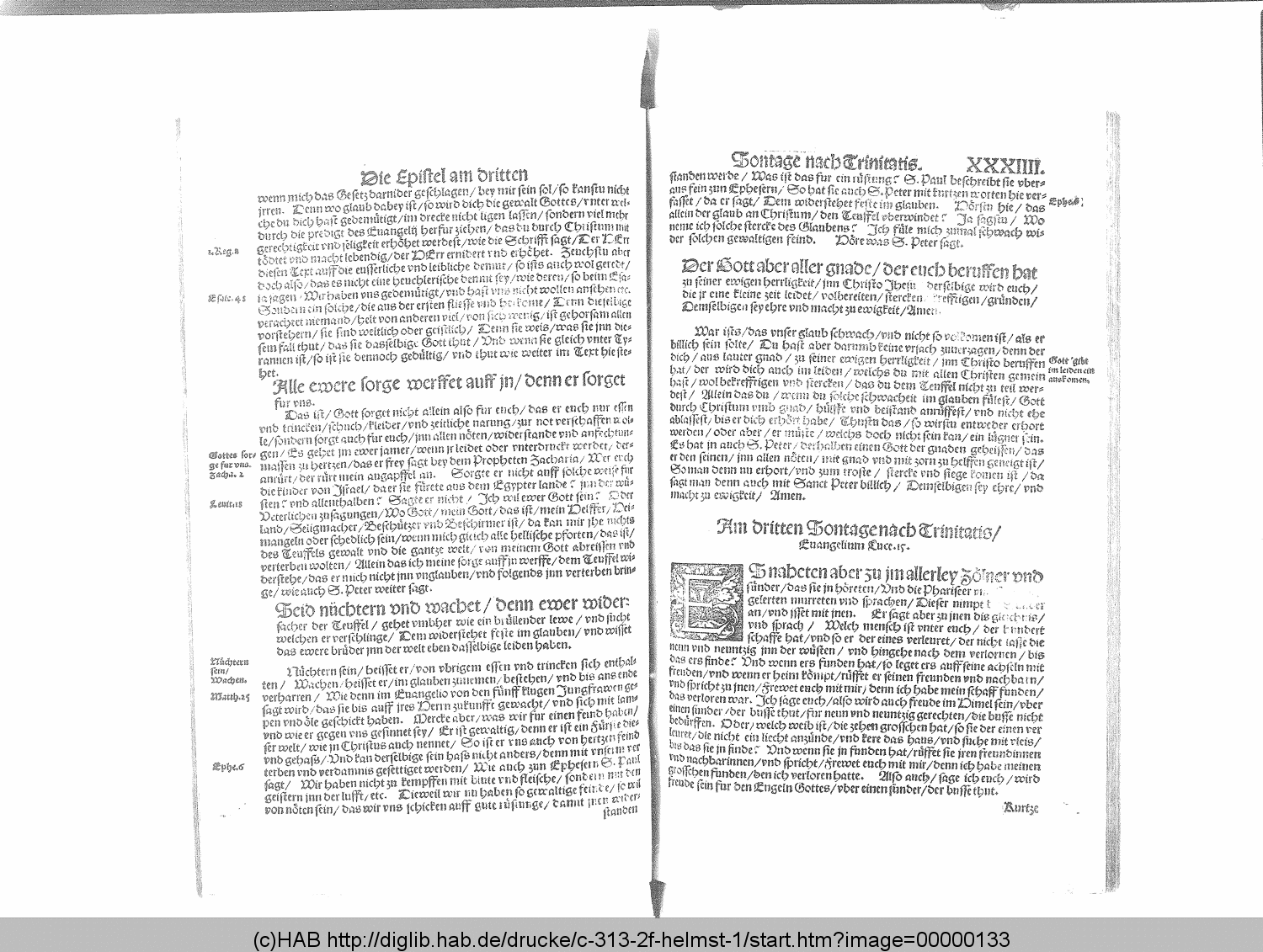 http://diglib.hab.de/drucke/c-313-2f-helmst-1/00000133.gif