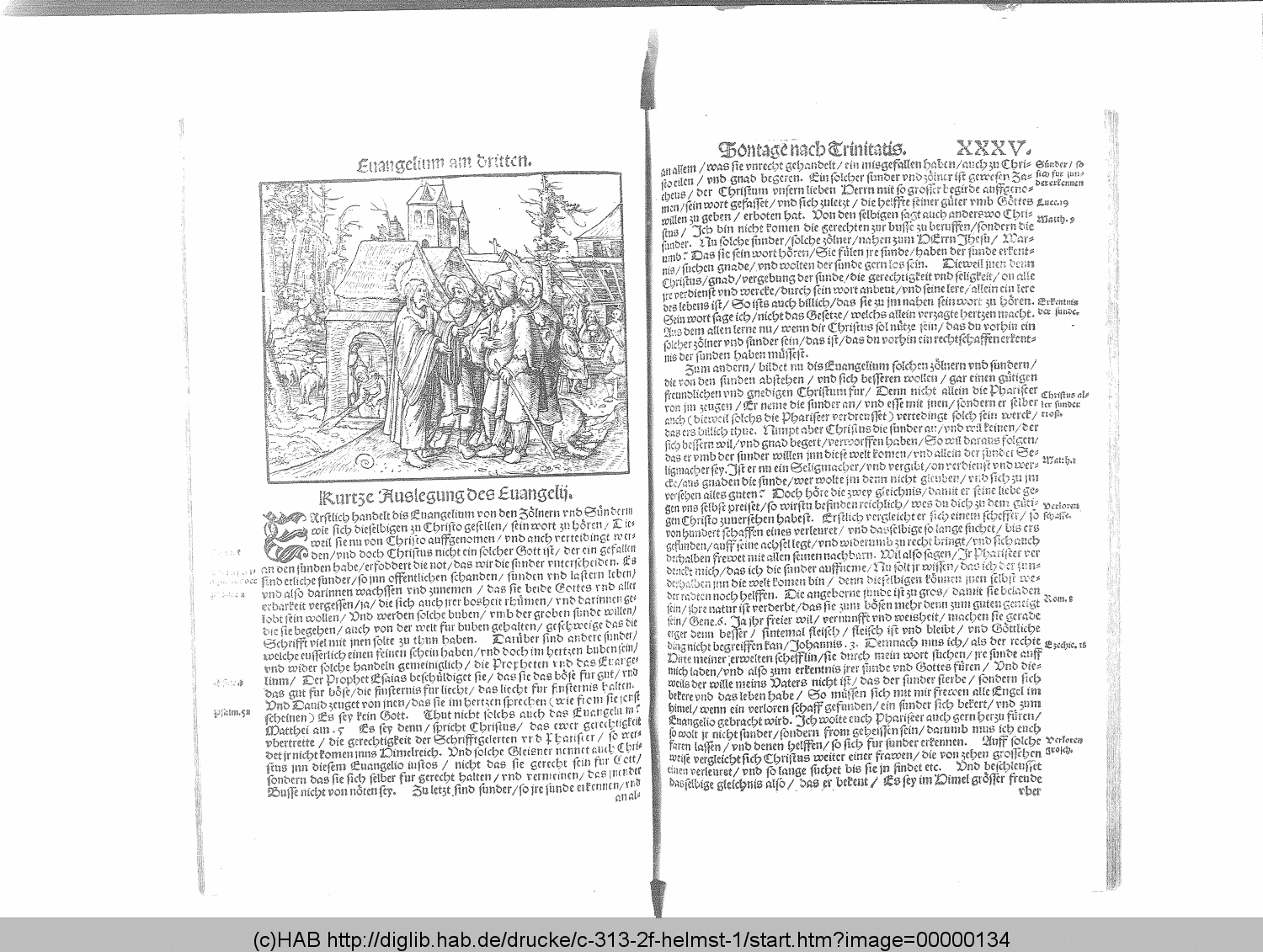 http://diglib.hab.de/drucke/c-313-2f-helmst-1/00000134.gif