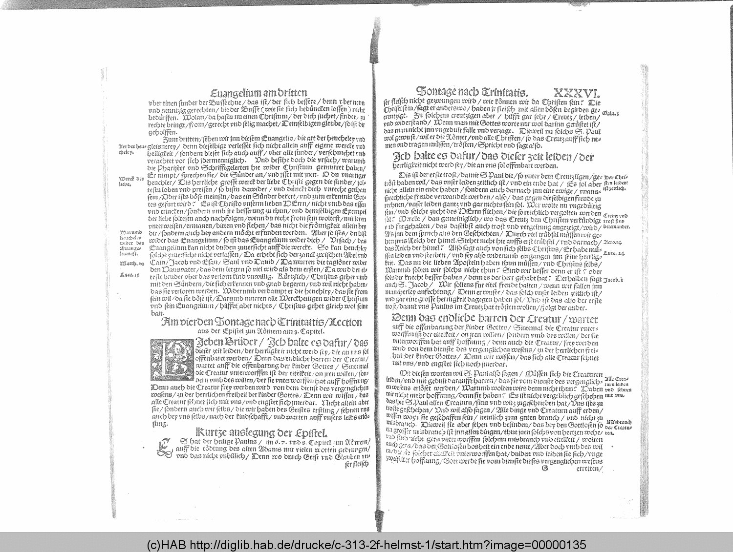 http://diglib.hab.de/drucke/c-313-2f-helmst-1/00000135.gif