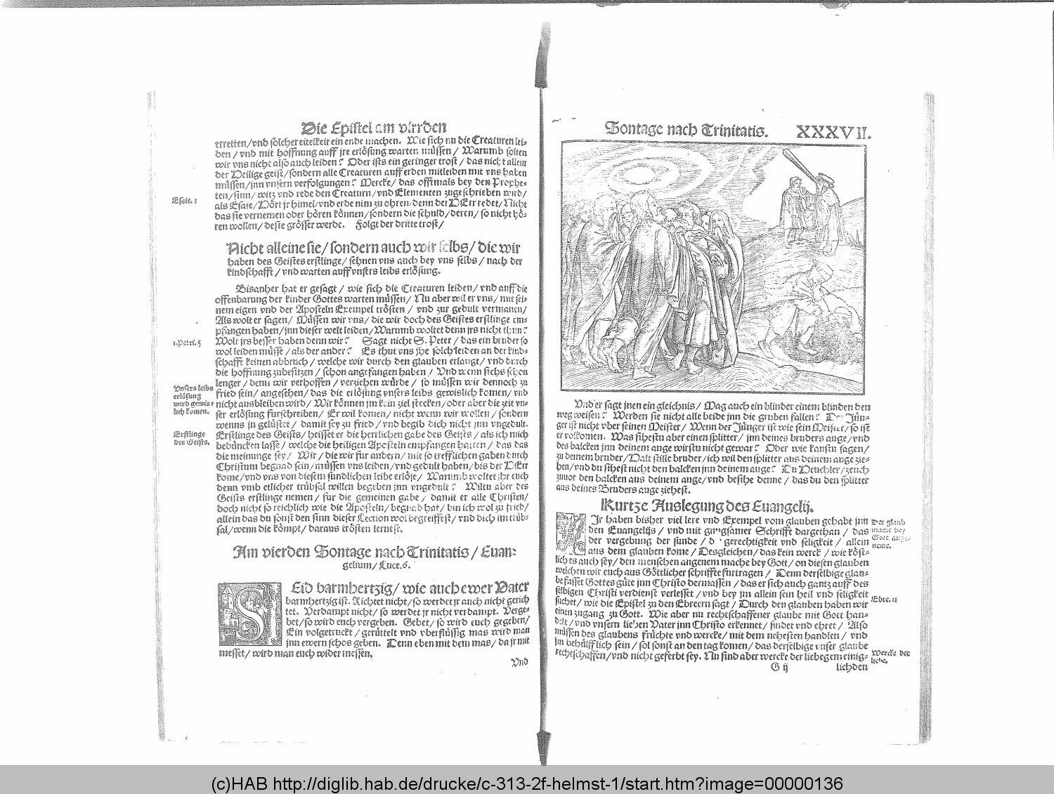 http://diglib.hab.de/drucke/c-313-2f-helmst-1/00000136.gif