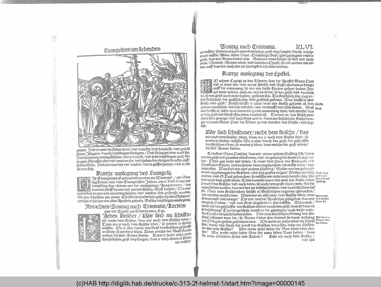 http://diglib.hab.de/drucke/c-313-2f-helmst-1/00000145.gif