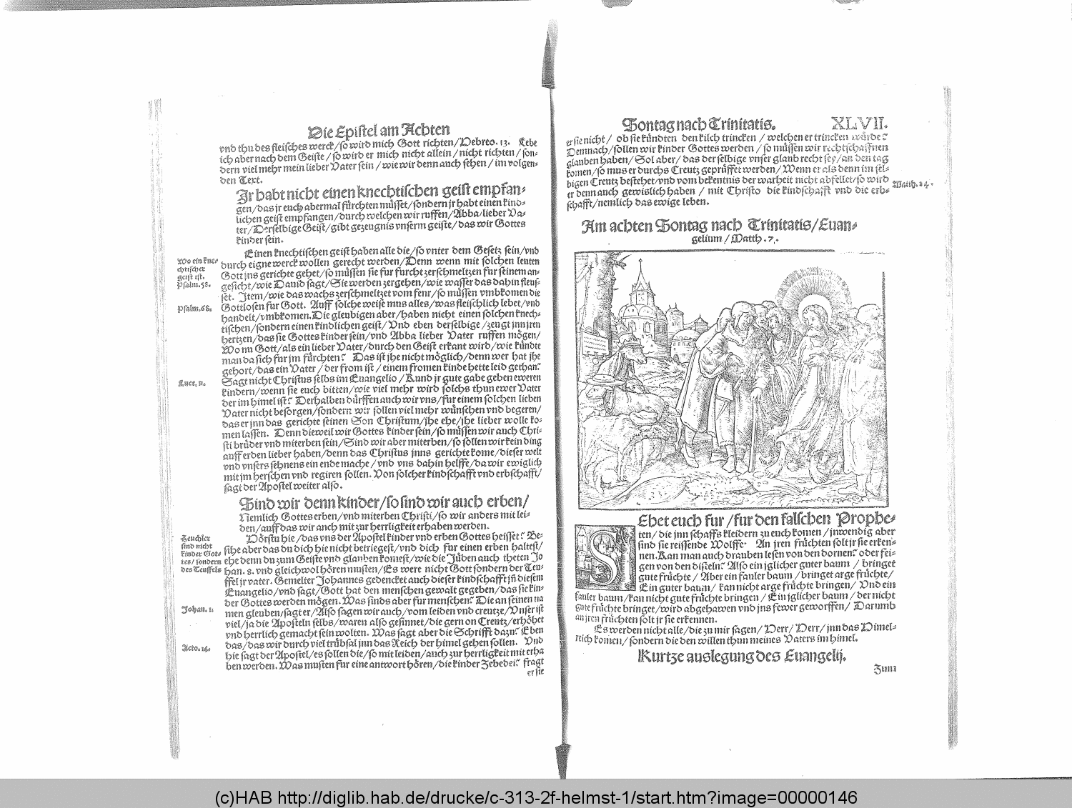 http://diglib.hab.de/drucke/c-313-2f-helmst-1/00000146.gif