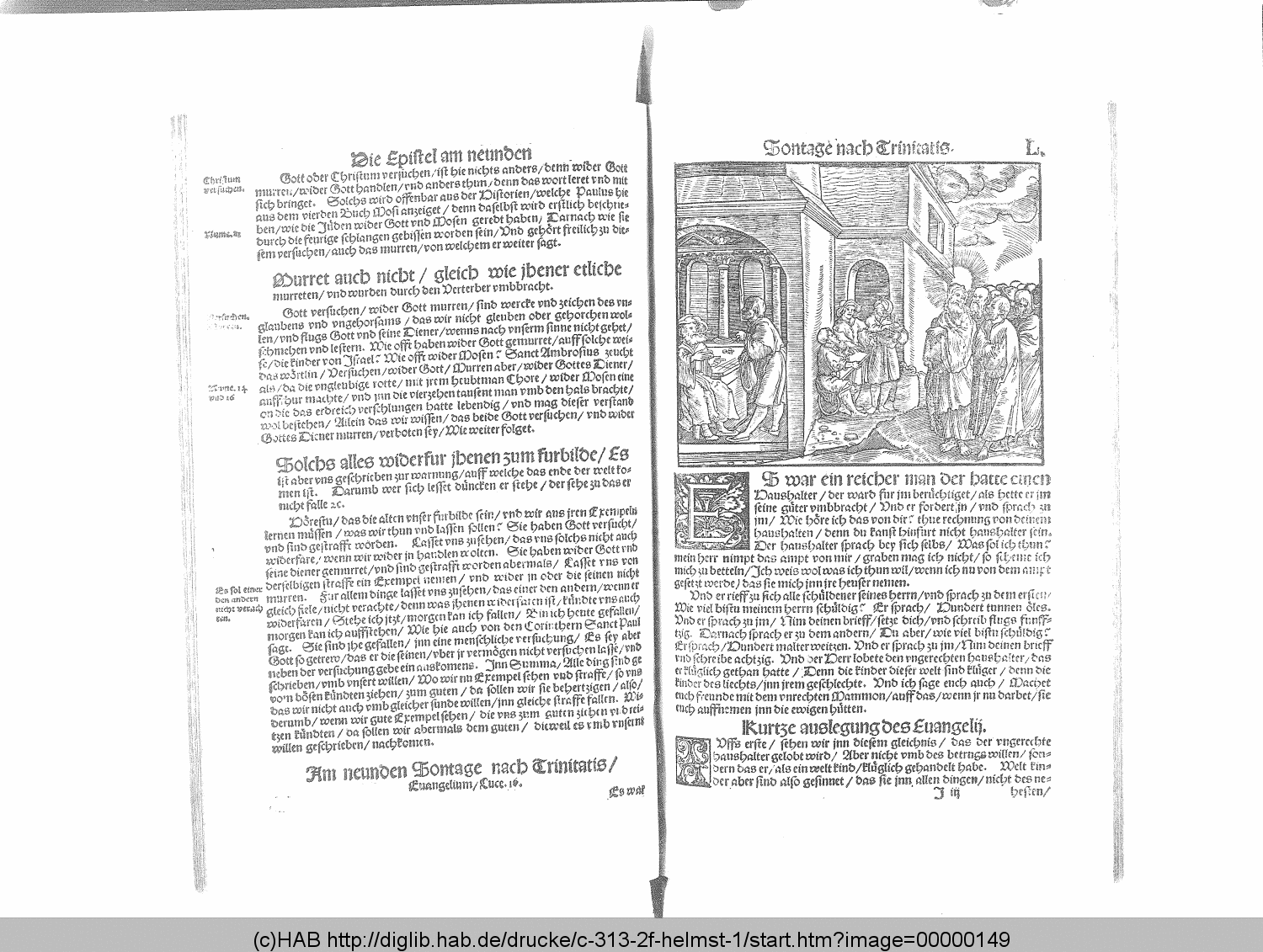 http://diglib.hab.de/drucke/c-313-2f-helmst-1/00000149.gif