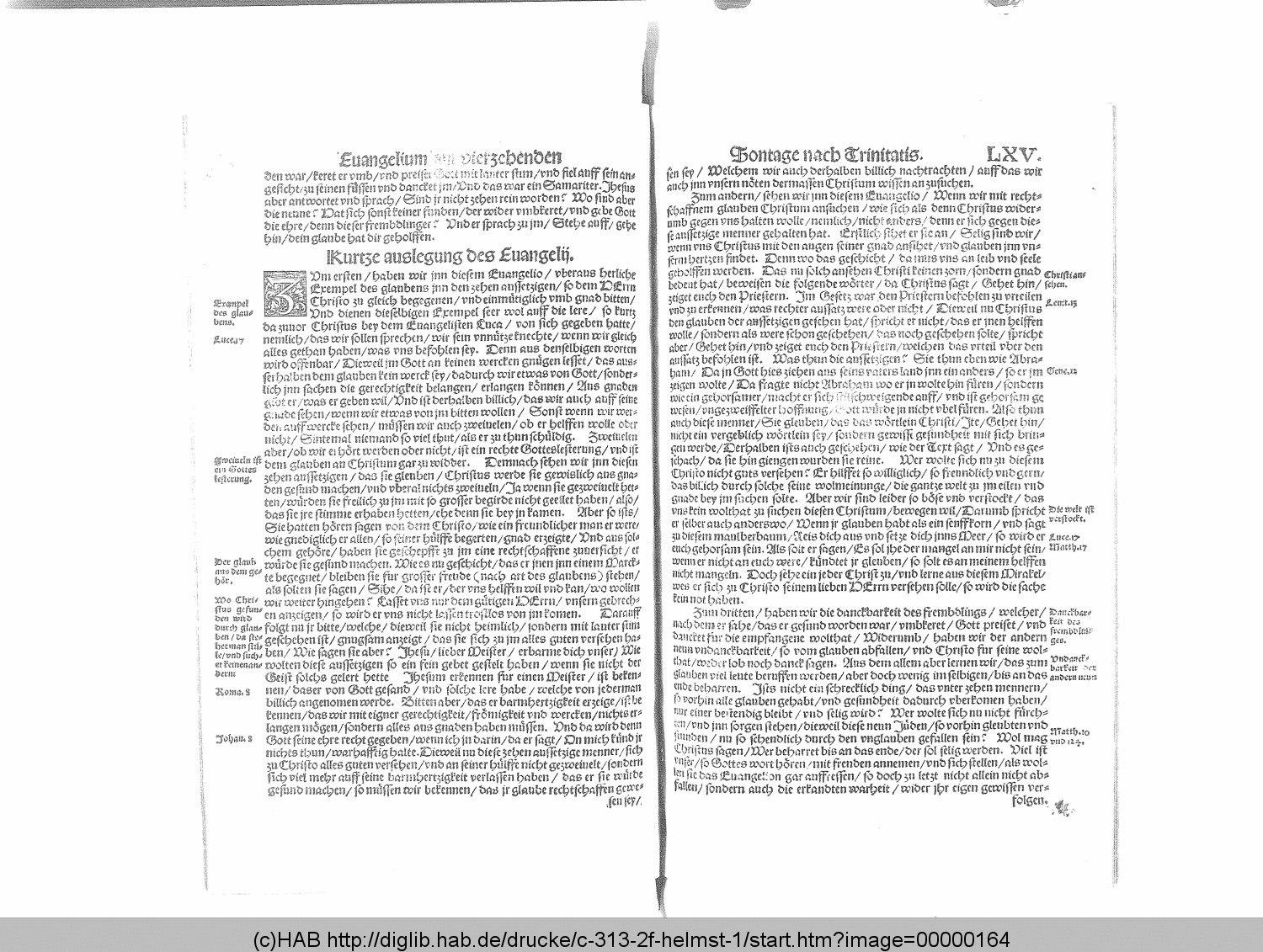 http://diglib.hab.de/drucke/c-313-2f-helmst-1/00000164.gif