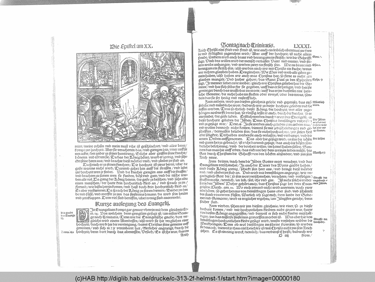 http://diglib.hab.de/drucke/c-313-2f-helmst-1/00000180.gif