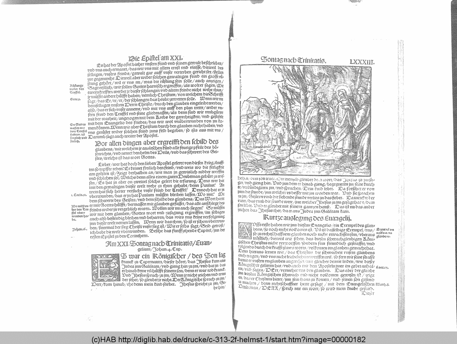 http://diglib.hab.de/drucke/c-313-2f-helmst-1/00000182.gif