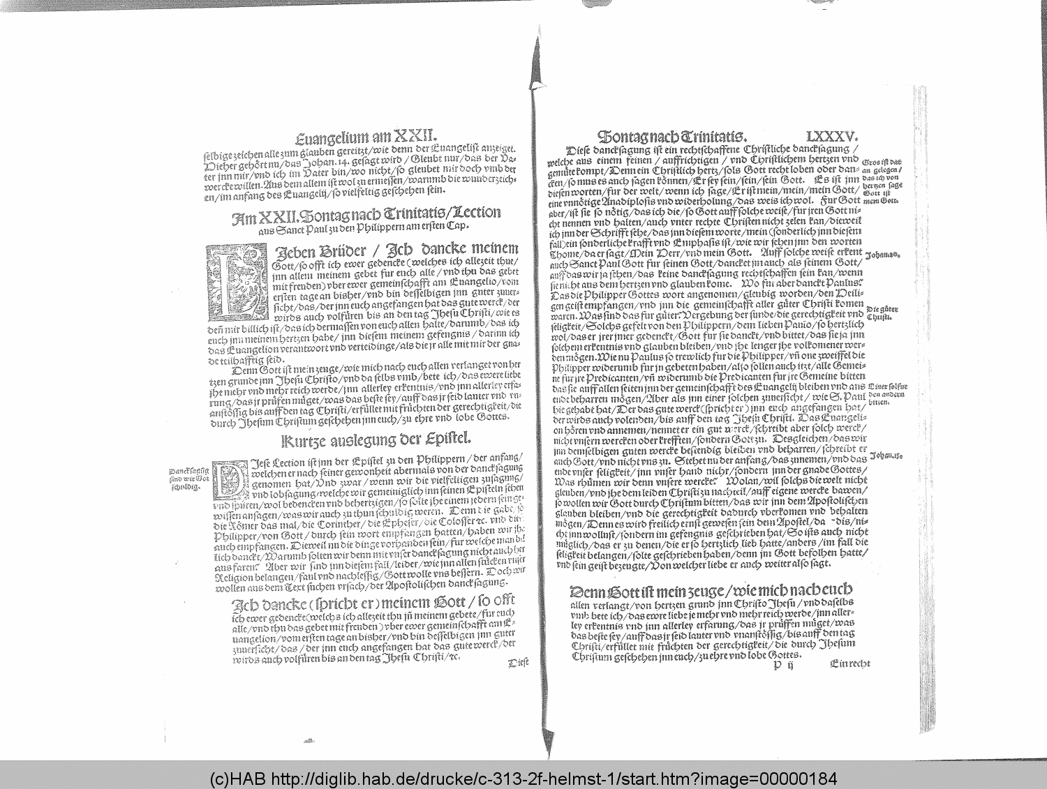 http://diglib.hab.de/drucke/c-313-2f-helmst-1/00000184.gif