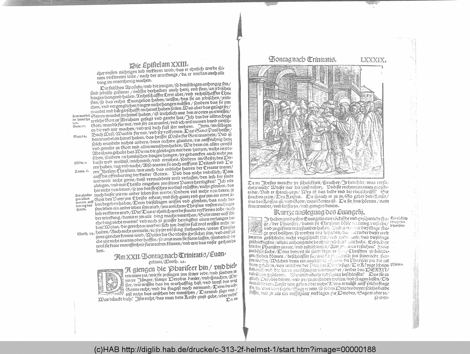 http://diglib.hab.de/drucke/c-313-2f-helmst-1/00000188.gif