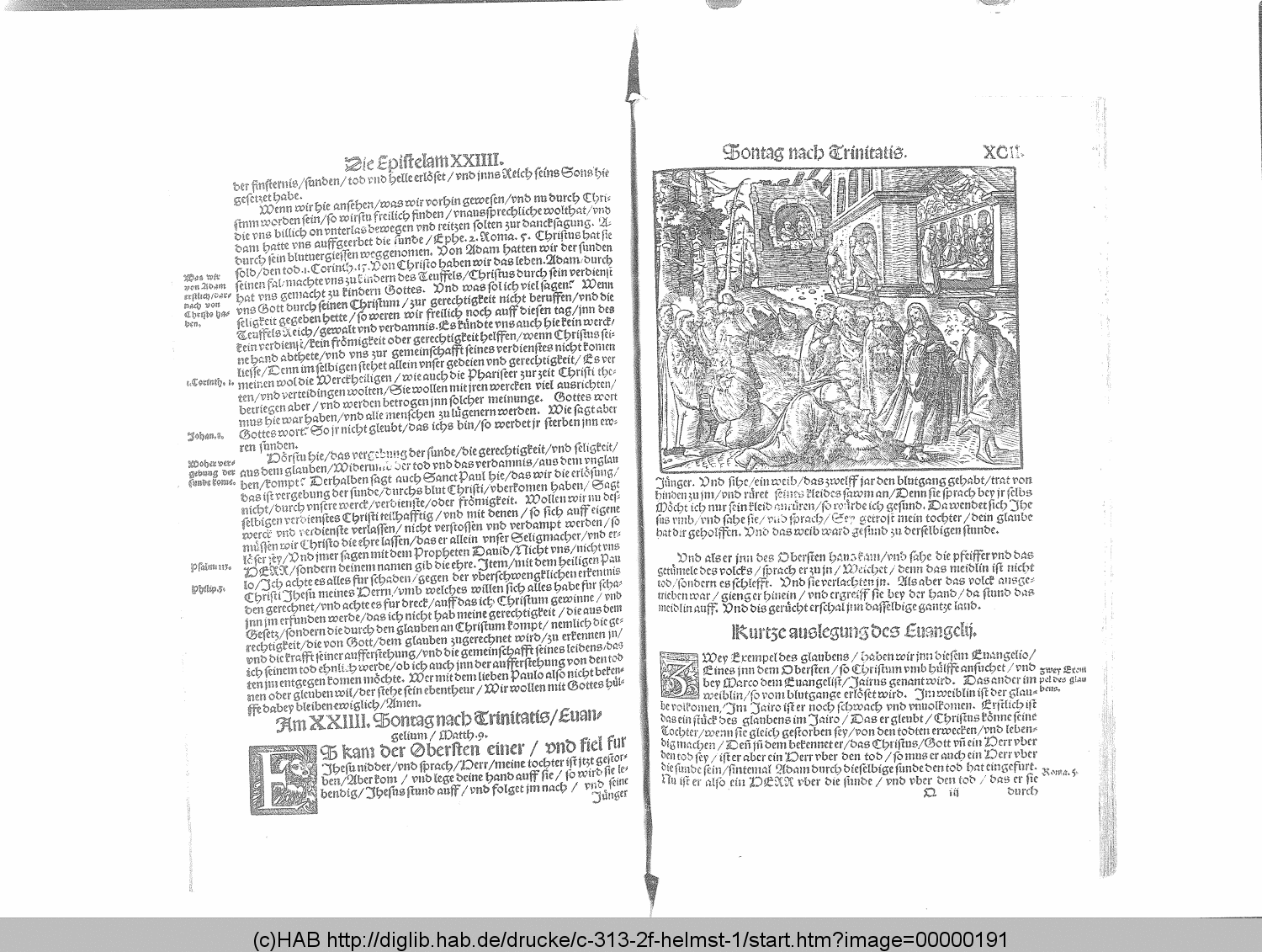 http://diglib.hab.de/drucke/c-313-2f-helmst-1/00000191.gif