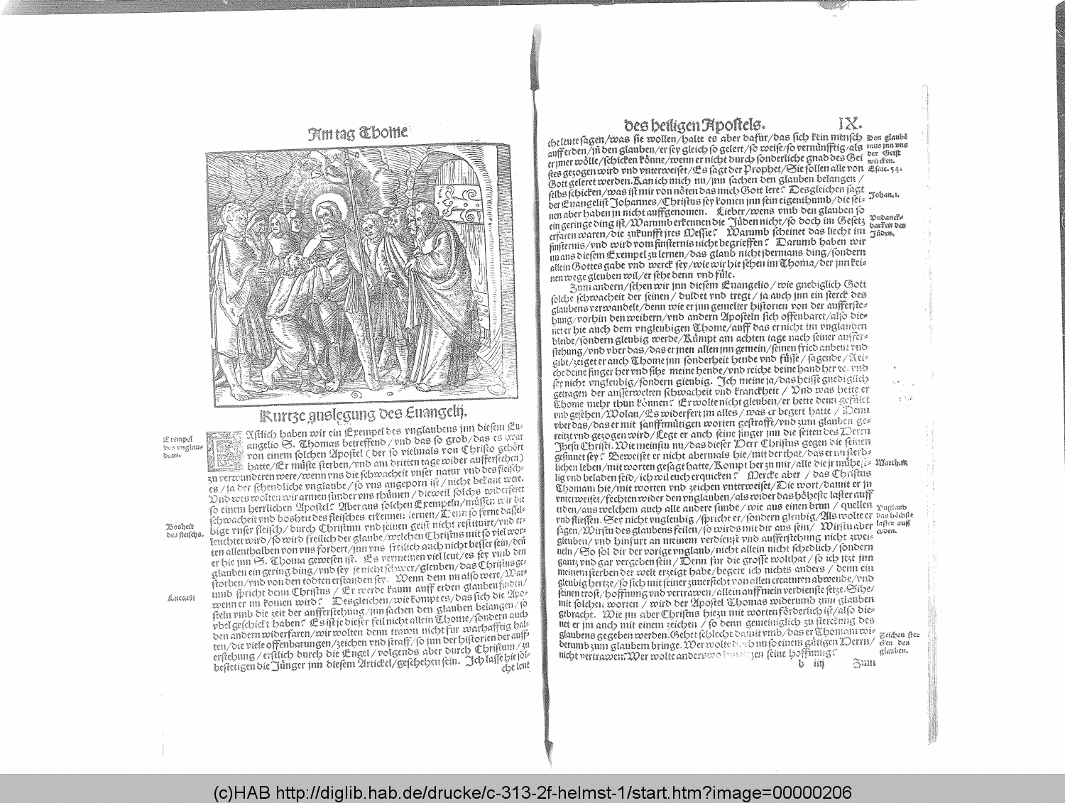 http://diglib.hab.de/drucke/c-313-2f-helmst-1/00000206.gif