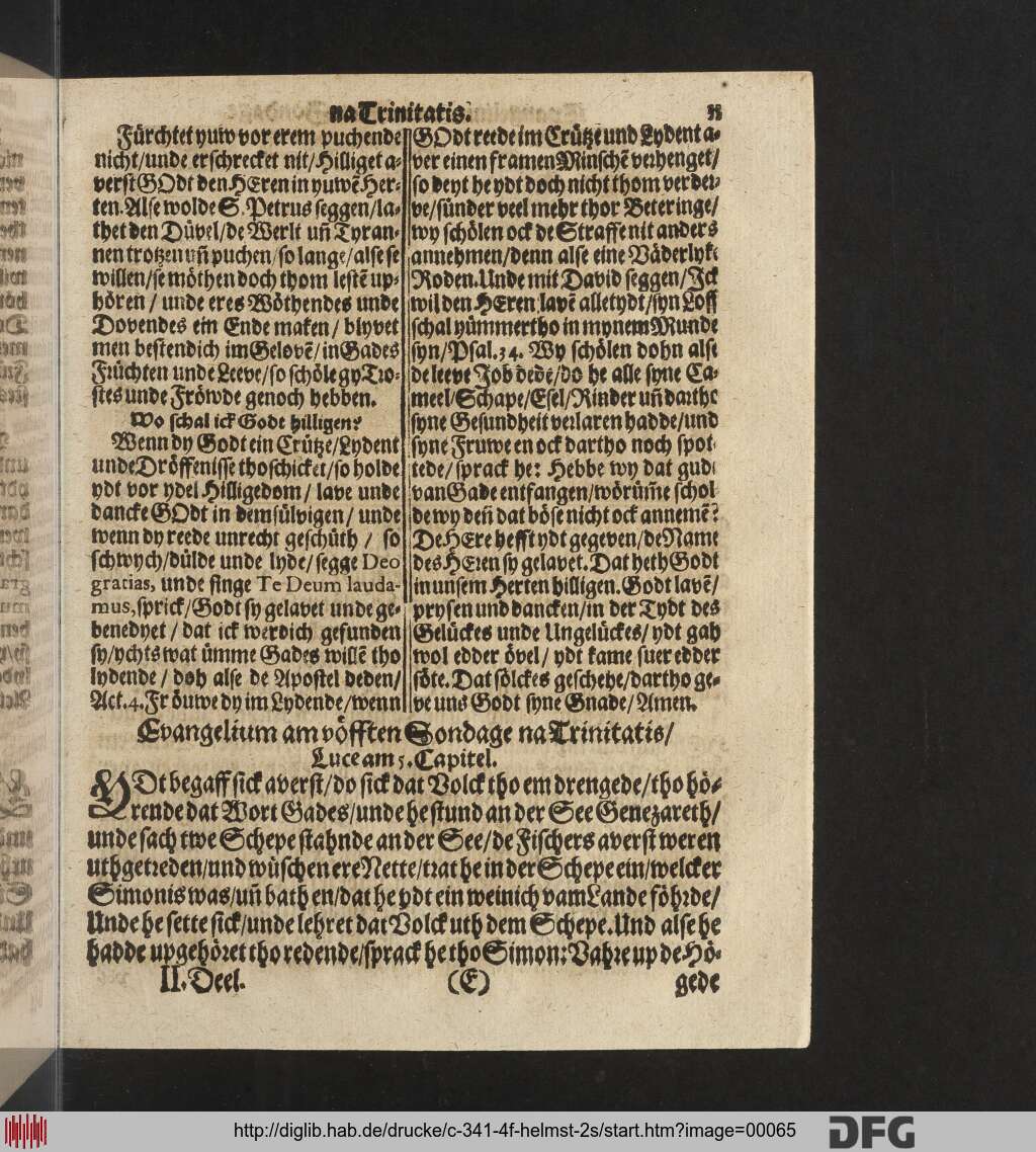 http://diglib.hab.de/drucke/c-341-4f-helmst-2s/00065.jpg