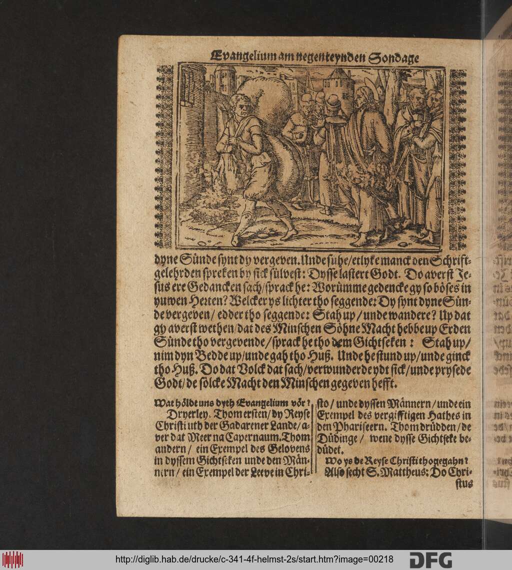http://diglib.hab.de/drucke/c-341-4f-helmst-2s/00218.jpg