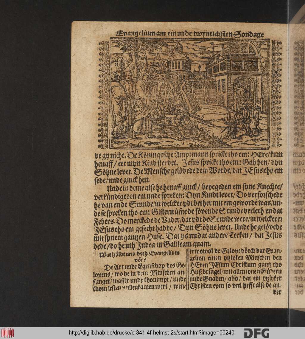 http://diglib.hab.de/drucke/c-341-4f-helmst-2s/00240.jpg