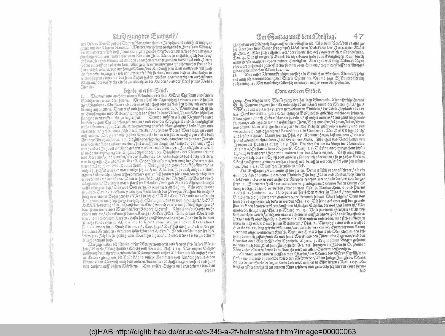 http://diglib.hab.de/drucke/c-345-a-2f-helmst/00000063.gif
