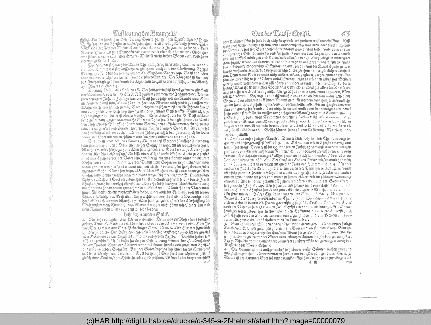 http://diglib.hab.de/drucke/c-345-a-2f-helmst/00000079.gif