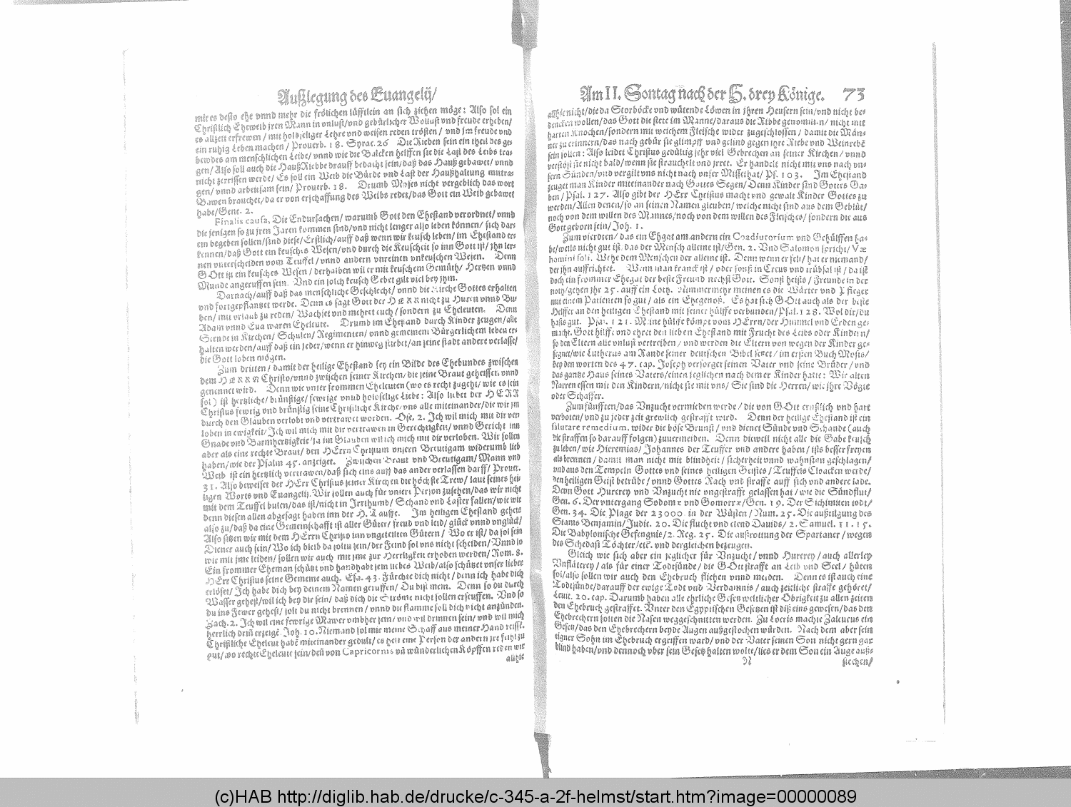 http://diglib.hab.de/drucke/c-345-a-2f-helmst/00000089.gif