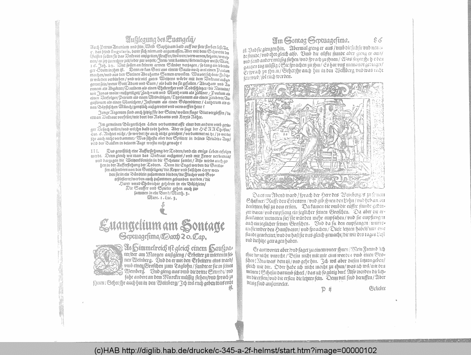 http://diglib.hab.de/drucke/c-345-a-2f-helmst/00000102.gif