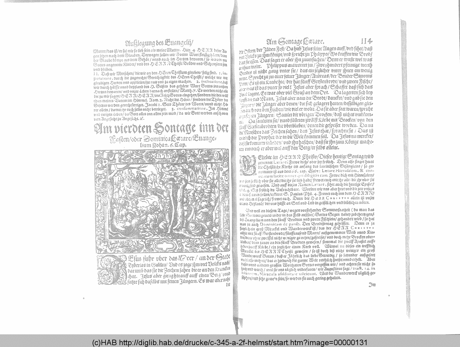 http://diglib.hab.de/drucke/c-345-a-2f-helmst/00000131.gif