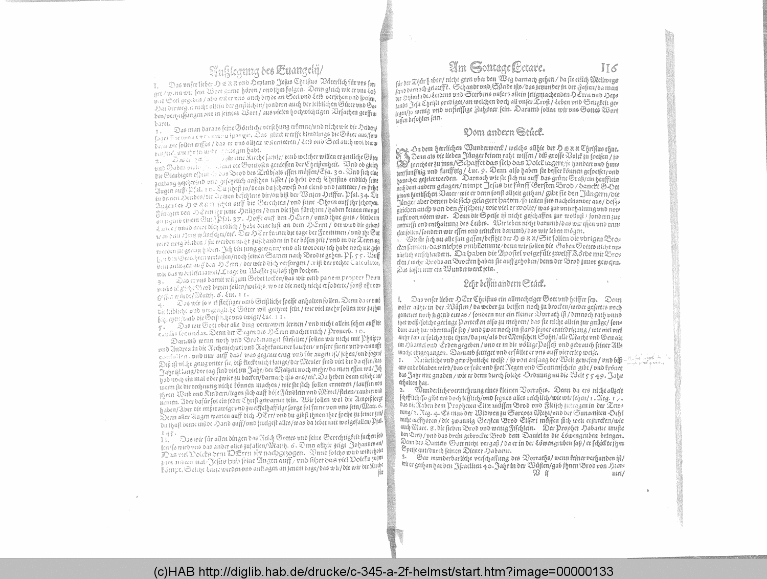 http://diglib.hab.de/drucke/c-345-a-2f-helmst/00000133.gif