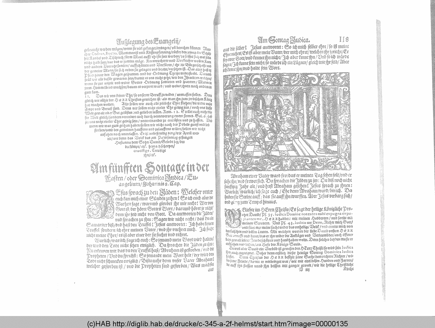 http://diglib.hab.de/drucke/c-345-a-2f-helmst/00000135.gif