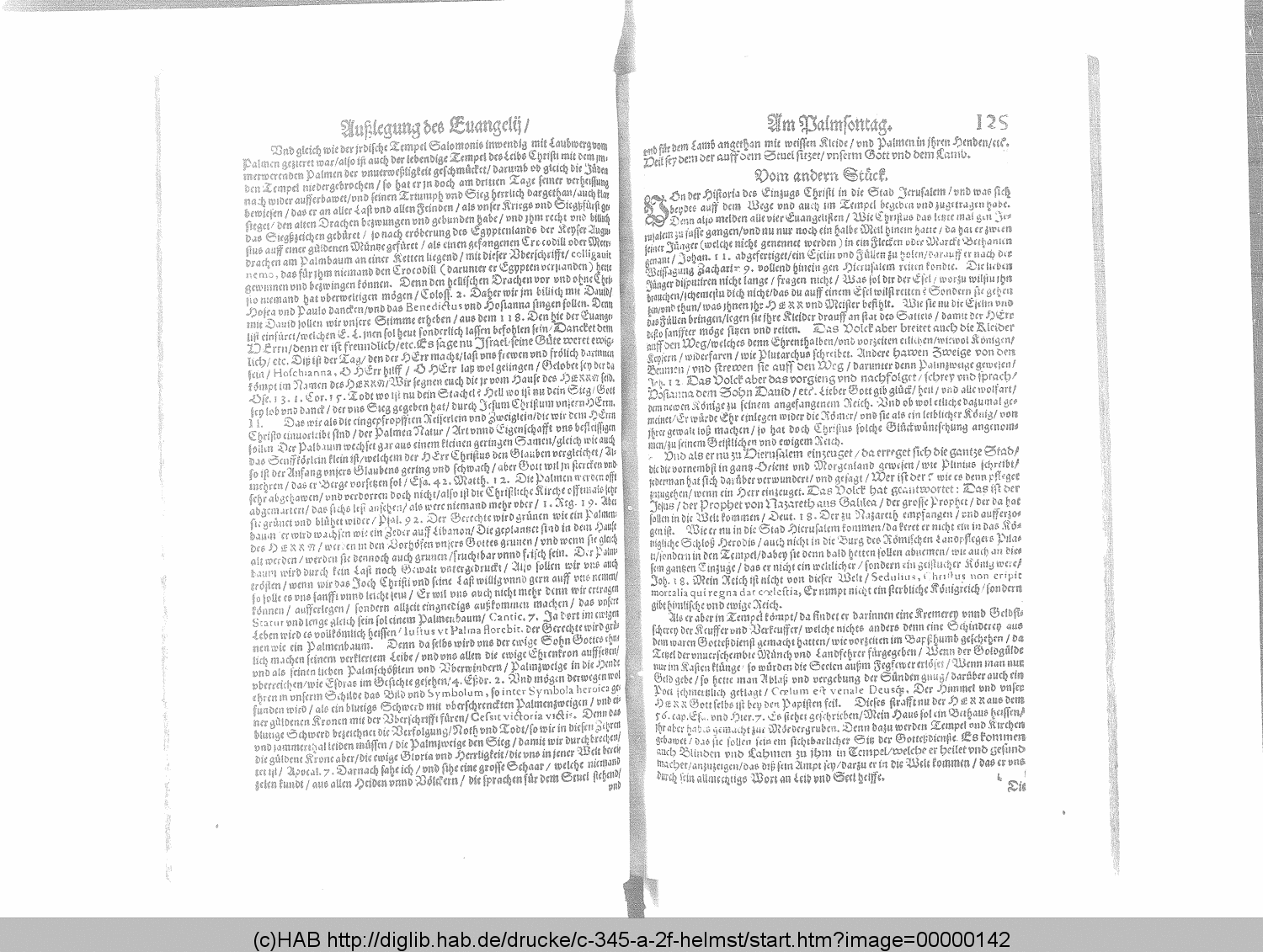 http://diglib.hab.de/drucke/c-345-a-2f-helmst/00000142.gif