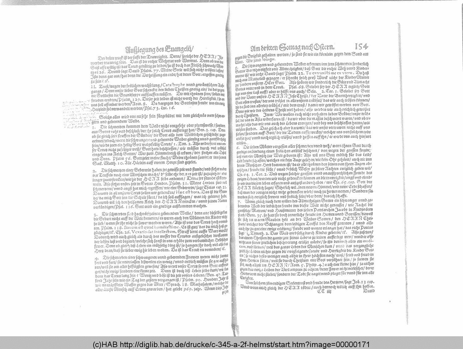 http://diglib.hab.de/drucke/c-345-a-2f-helmst/00000171.gif