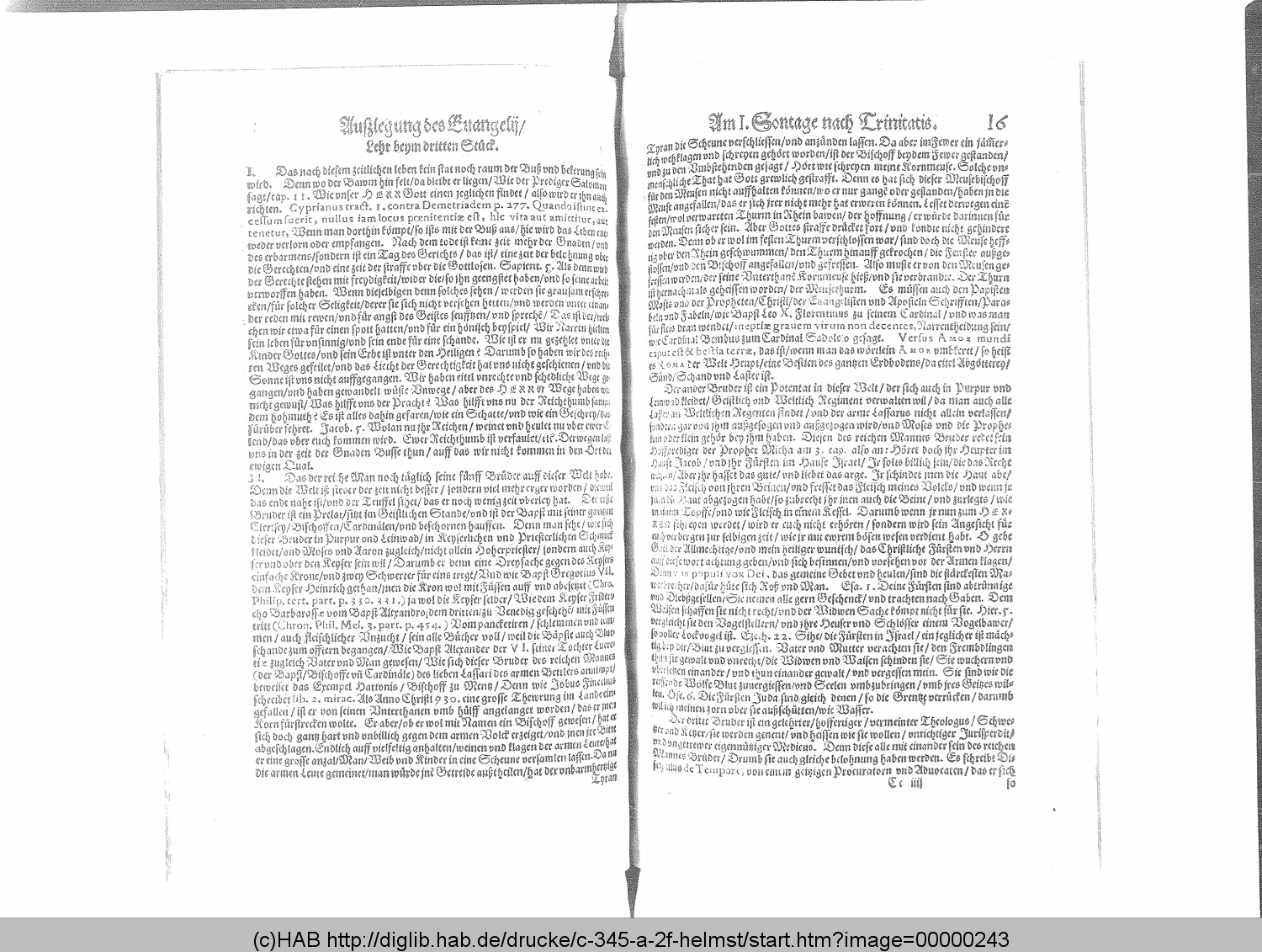 http://diglib.hab.de/drucke/c-345-a-2f-helmst/00000243.gif