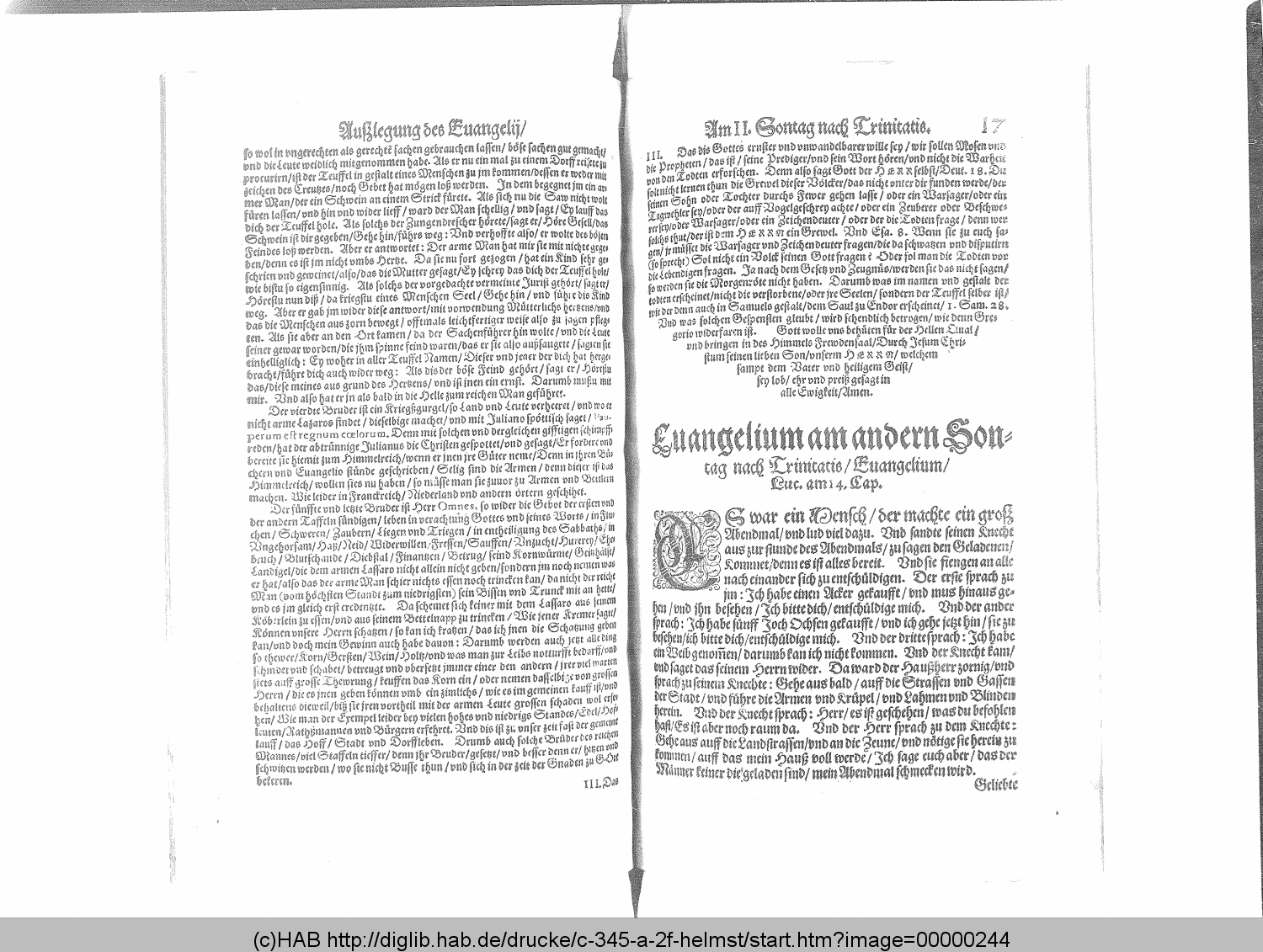 http://diglib.hab.de/drucke/c-345-a-2f-helmst/00000244.gif