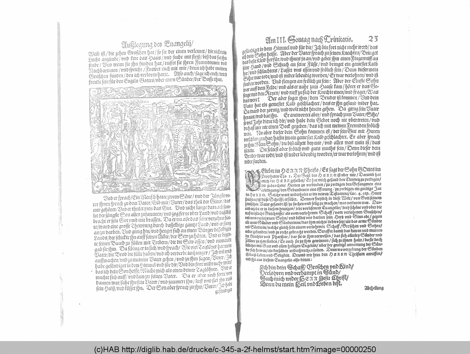 http://diglib.hab.de/drucke/c-345-a-2f-helmst/00000250.gif