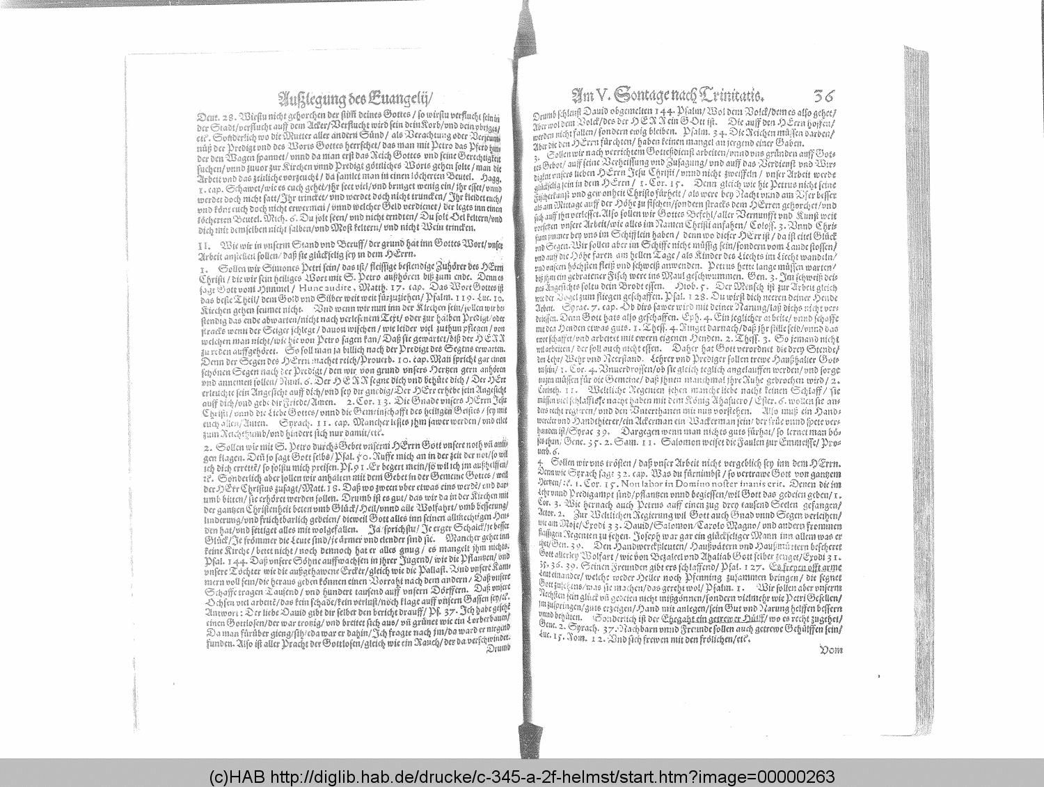http://diglib.hab.de/drucke/c-345-a-2f-helmst/00000263.gif