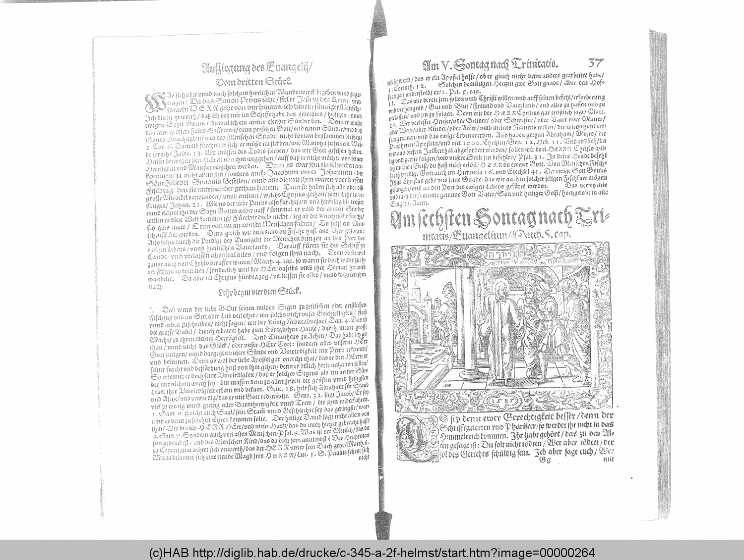 http://diglib.hab.de/drucke/c-345-a-2f-helmst/00000264.gif